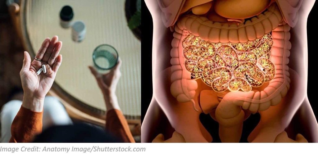  Does Antibiotics Affect My Gut Health